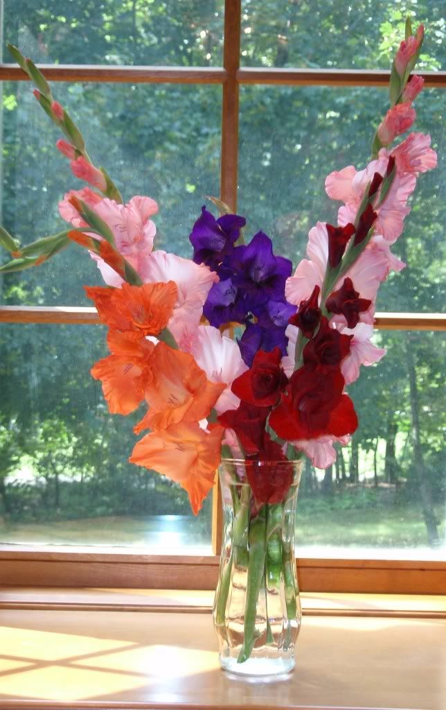 flowers in window Pictures, Images and Photos