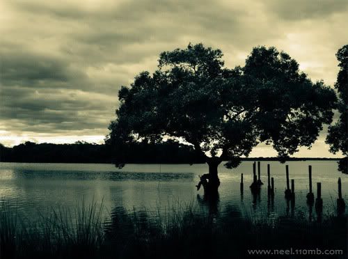 Silhouette Photo Picture