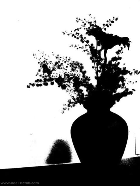 Silhouette Photo Picture