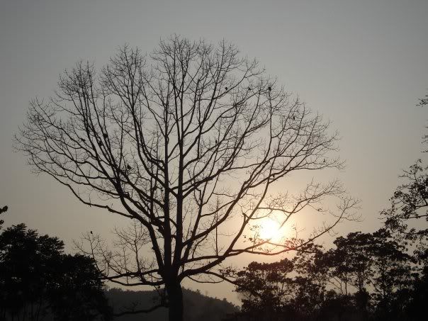 Sunset Photo Picture