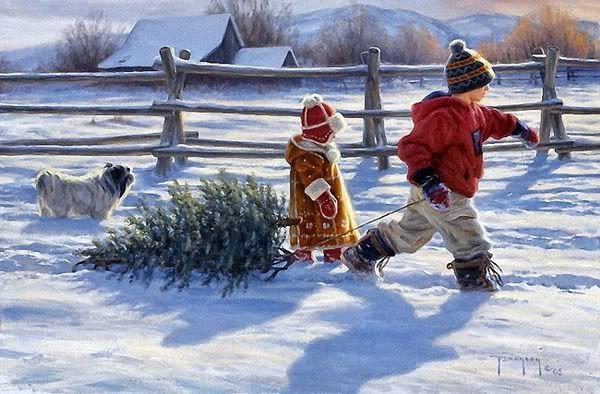 Winter Photo Picture