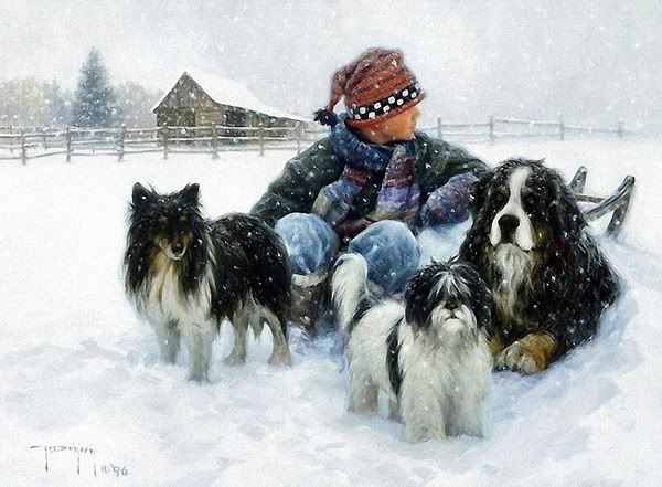 Winter Photo Picture