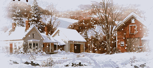 Winter Photo Picture