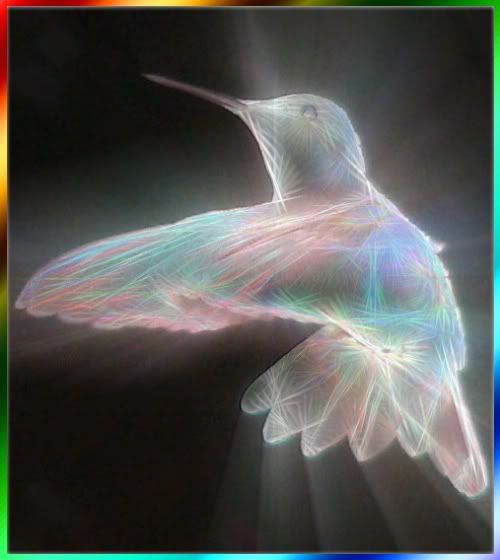 GlowingHummingbird.jpg