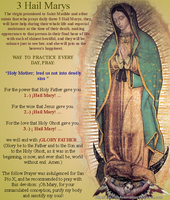 Virgen De Guadalupe Graphics, Pictures, & Images for Myspace Layouts