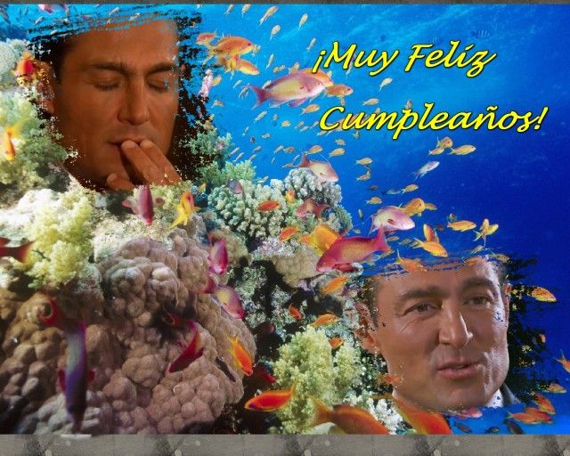  photo 2yl04dc_zps83f6b22e.jpg