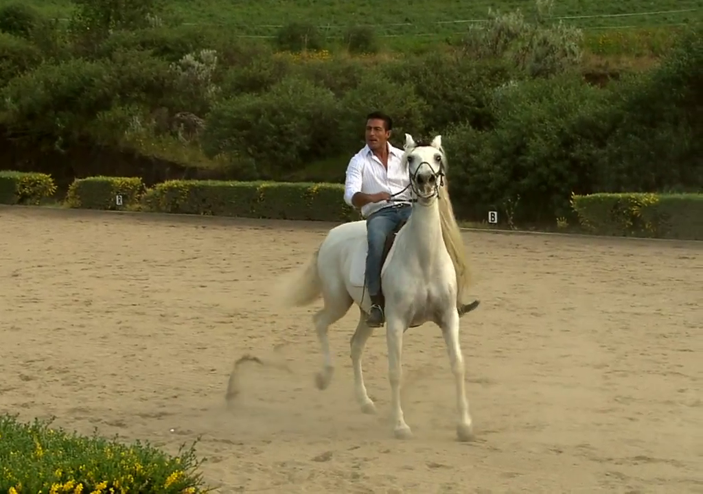  photo 811d_zps65d4f269.png