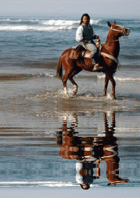  photo fer_zps51ee5d03.gif