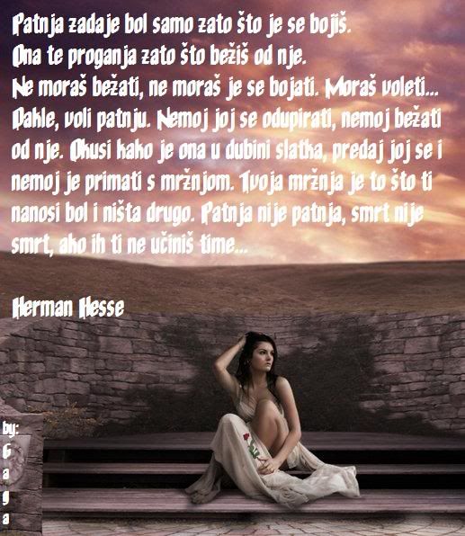 hermNHESE.jpg