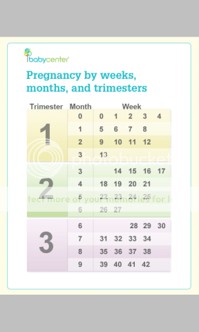 pregnancy chart week to month - Part.tscoreks.org