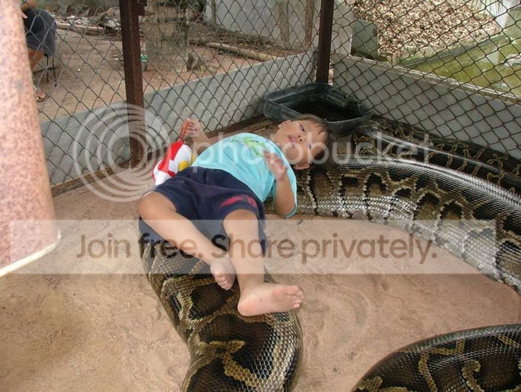 1270652881.jpg