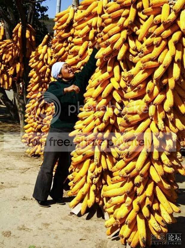 1275188188.jpg
