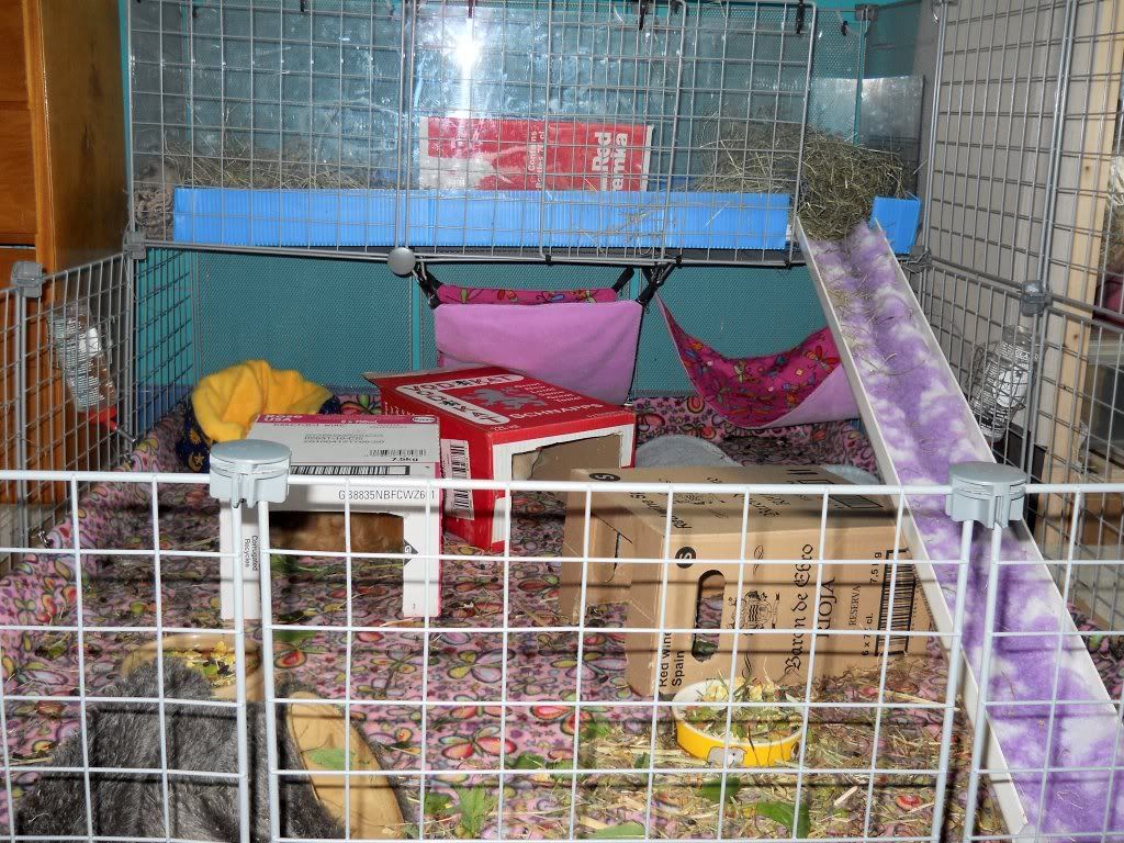 setup2.jpg